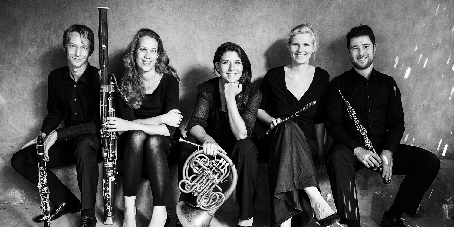 Acelga Quintett